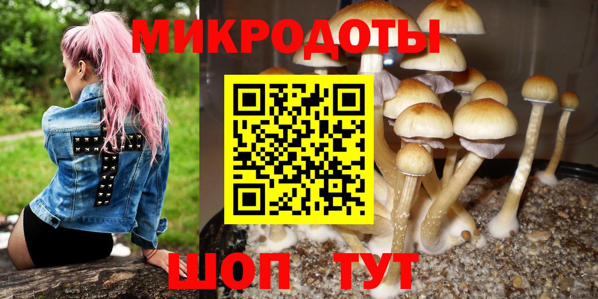 Старая Купавна  Псилоцибиновые грибы Psilocybine cubensis  магазин  наркотиков  Вход с VPN  Галлюциногенные грибы GOLDEN TEACHER 